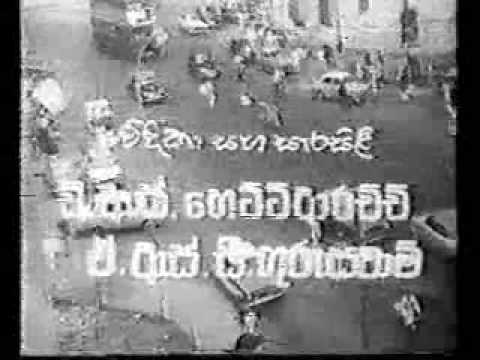 ALLAPU GEDARA - SAGARA REJINA