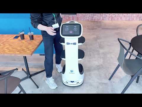 DINERBOT T11 Review Video 2