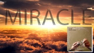 Afterlife feat. Neve - Miracle