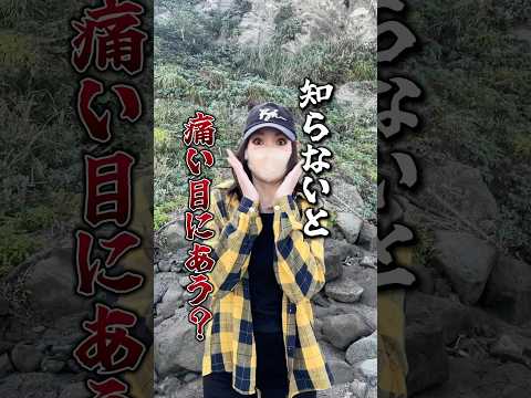 モナスティル デル キャンプ - 定義