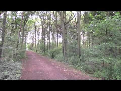 Greenplease : rup Kasteelpark 's-Gravenwezel