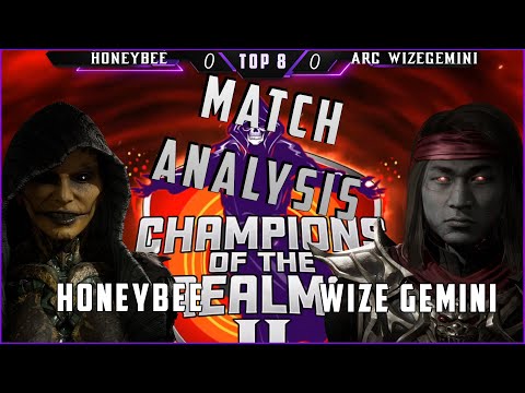 Match Analysis! Honeybee vs WizeGemini - CotR Top 8