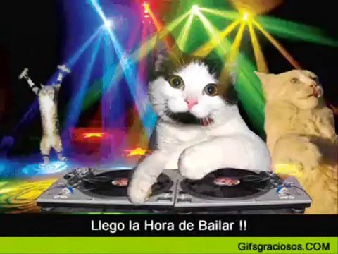 CORAZÓN EMBUSTERO-KARAOKE