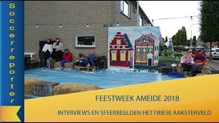 Het Friese Aaaksterveld