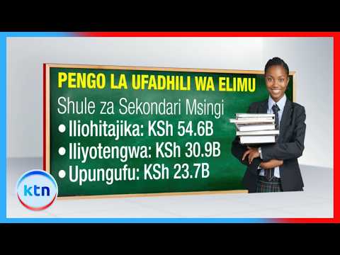 Elimu yapata bilioni 781.5 lakini shule zaendelea kukabiliwa na uhaba wa fedha