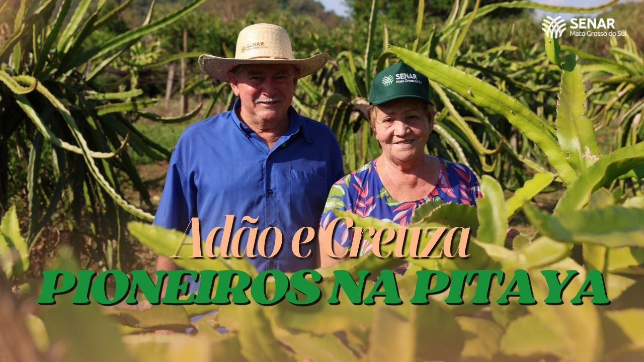 Eles se tornaram referência na produção de pitayas com apoio do Senar/MS