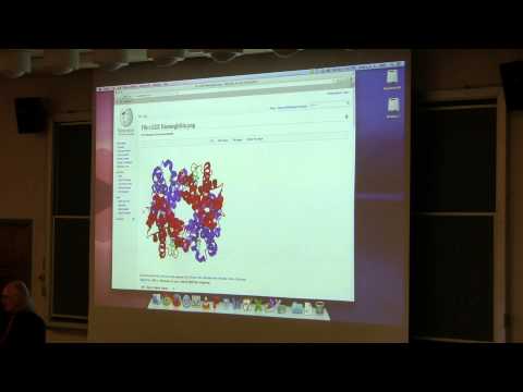 Ahern's BB 350 at OSU - 6. Structure and Function of Hemoglobin