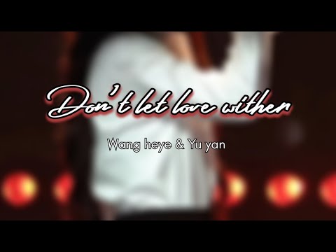  (my love )_Don't let love wither _(lyrics)_ Yu yan & Wang heye