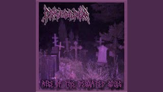 Rise of the desolated Souls