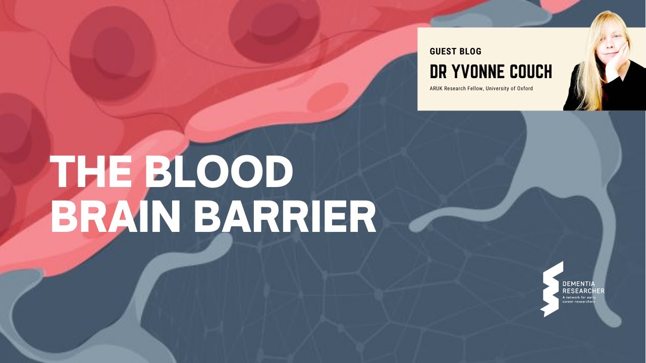 Dr Yvonne Couch - The Blood Brain Barrier