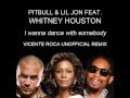 Pitbull & Lil Jon feat. Whitney Houston - I wanna ...