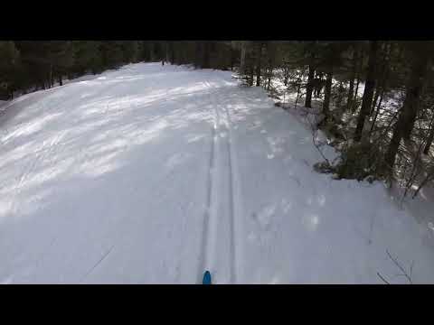 Gentle Giant POV 02 13 2022