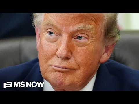 ‘The swamp is DEEPER than it ever was’: Dem Senate candidate blasts Trump for his corruption