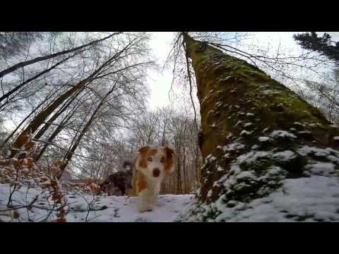 2016 01 17 Leuscheid Schneewanderung