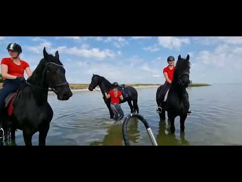 Stal Okkema - trail ride with: Berend - Bauke - Yoep - Foeke - Djimmer - Allert