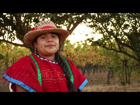 Preparación ante desastres: Idioma Triqui de Carrizal, Juxtlahuaca