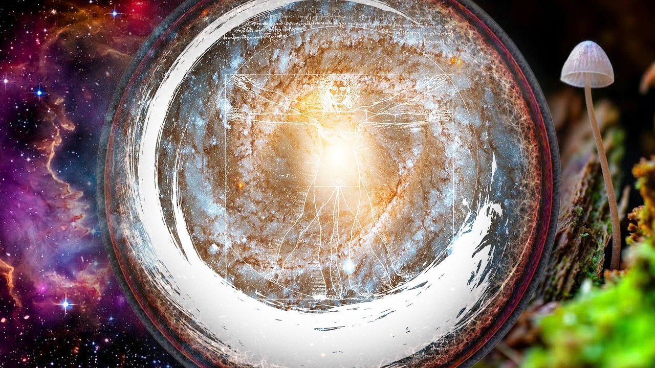 El Tao Explicado, Capítulo 25: Cosmos