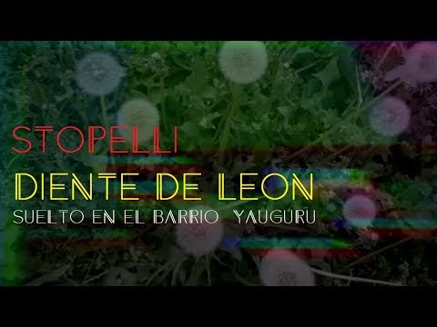 Stopelli Diente de Leon feat Leo Castro & Benji Barreiro