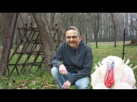 PUTENFLEISCH by Kurt Razelli