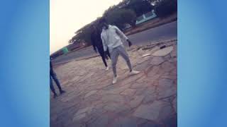 Migos apeshit (official dance video)