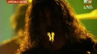 Gojira - A Sight to Behold (Live at Garorock Festival 2009)