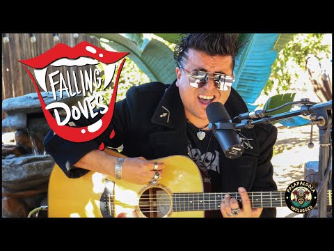 Falling Doves | Palapalooza