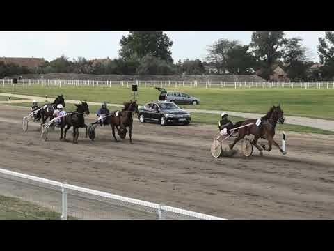 Trka "Annie" 16 09 2018 Paladino-Stevan Sremački