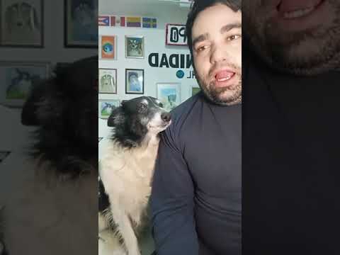 El Pipo joven, sin canas y con dientes 🥹🐾❤️