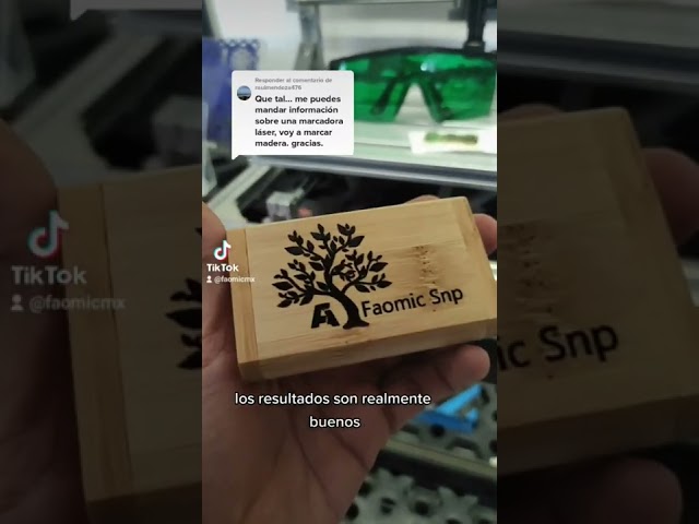 Vídeo relacionado con Promotech Loris Animal Primat - Llavero de madera con grabado láser, madera, W5L5