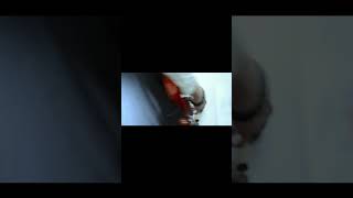 【#又三郎】【#ヨルシカ】【#shorts】【#永久機関】#又三郎 #ヨルシカ #幻燈 プロフよりYouTube fullへ飛べます！ #初音ミク #anime   #hatsunemiku