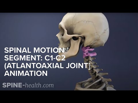 Spinal Motion Segment: C1-C2 (Atlantoaxial Joint) Animation