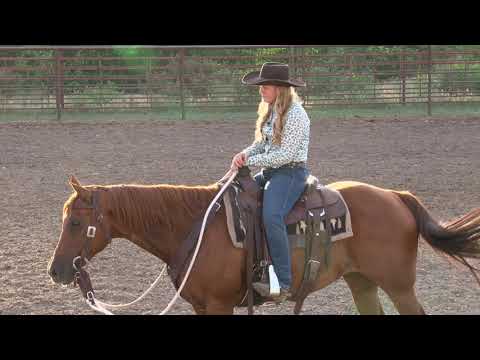 Ken McNabb: How to Spook-Proof Your Horse