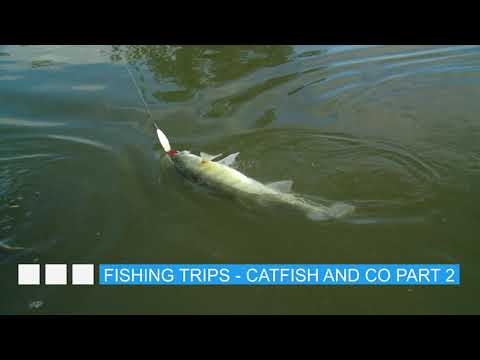 Horgásztúrák - A harcsa és társai 2. rész