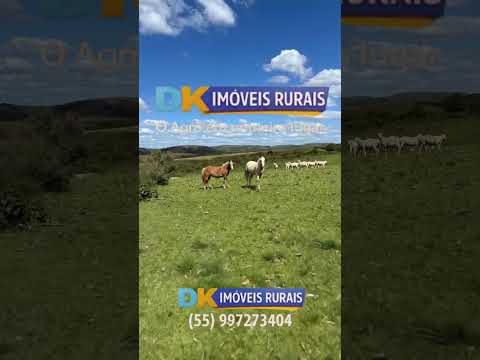 🚜 Fazendas à Venda e Arrendamento no RS | Oportunidades para Investidores e Produtores 🌾