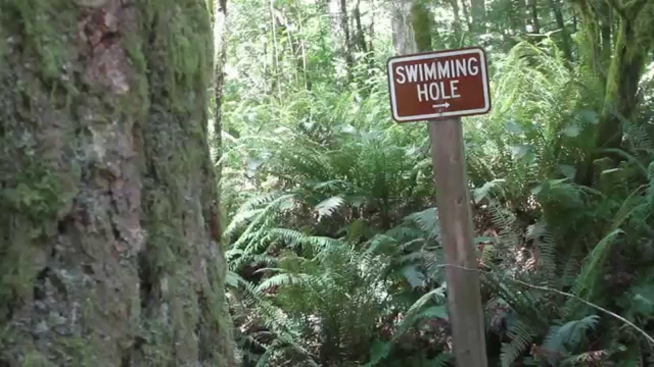 Are there bugs in canned tuna? Tipseri