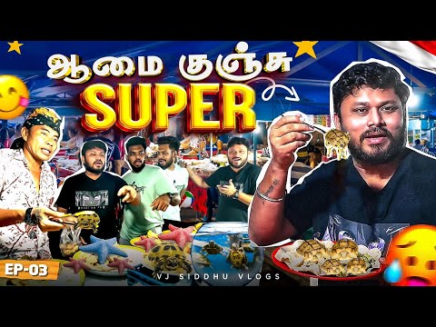 இதெல்லாமாவா சாப்பிடுறாங்க😱🤢 | Bali Ep- 3 | Vj Siddhu Vlogs