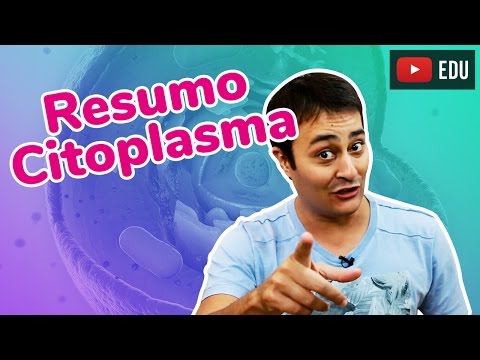 Organelas Citoplasmáticas | JubiResumo | Prof. Paulo Jubilut