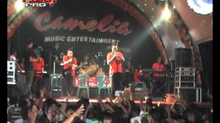 Download lagu camelia bangsri teman mp3 Download lagu camelia bangsri teman mp3