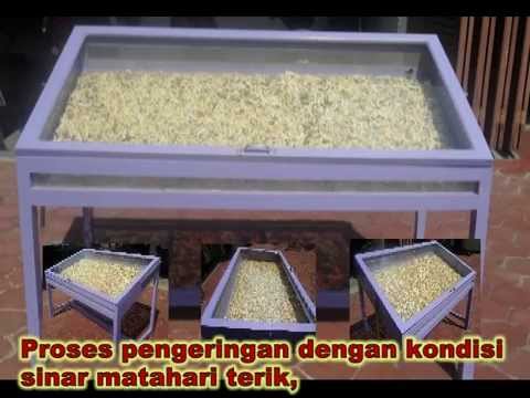 Buku tentang kehilangan berat badan Ksenia Borodina Pada apa simulator Anda dapat menghapus perut dan kaki