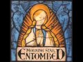 Entombed Morning star 12.Mental twin.wmv