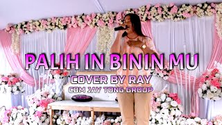 Download lagu PALIH IN BINI MU COVER BY RAY BADY GROUP mp3