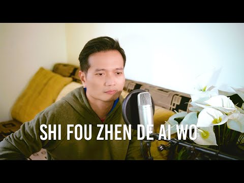Shi Fou Zhen De Ai Wo 《是否真的爱我》| Andrey Arief (COVER)