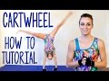 Cartwheel Tutorial Gymnastics Workout At Home Flexibility Stretches Exercise Routine