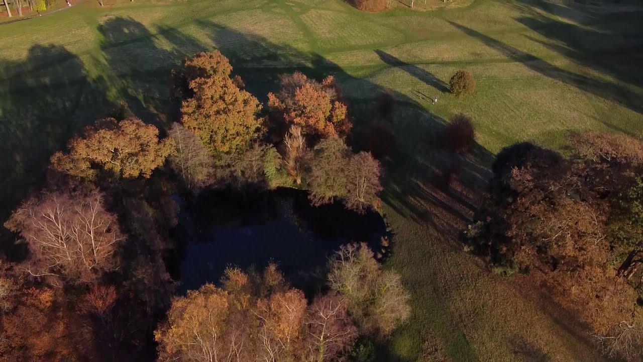 Singleton park 2020_11_05