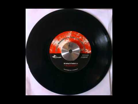 Misbehaviour's 45 pics Quantic + Nikodemus