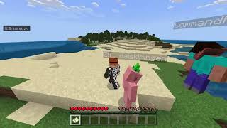 マイクラ行くぜ！