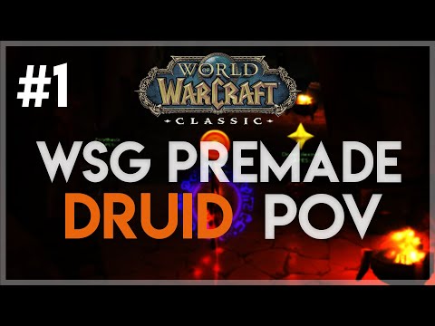 WSG Premade #1 | Druid POV | Classic WoW