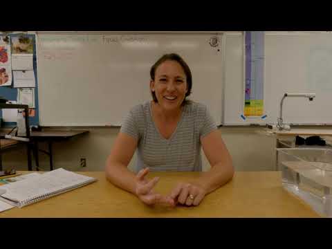 4th Grade Science 9 27 2020