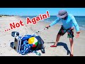 Beach Wagon vs. Beach Cart (with Balloon Wheels)