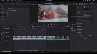 Handheld Camera - Intro And Presets